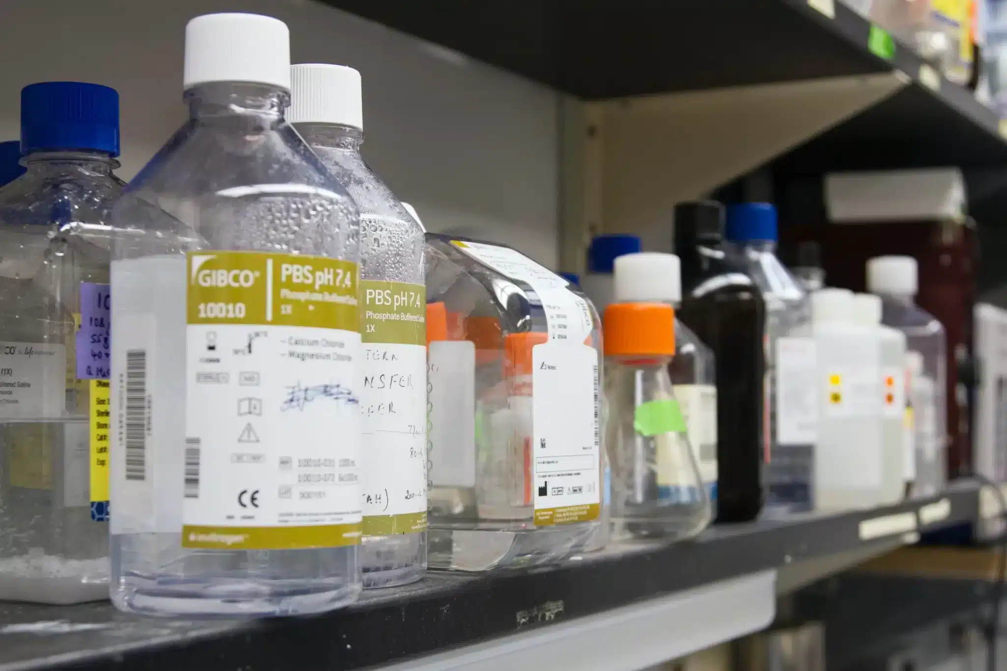 A laboratory shelf stocked with a variety of chemical reagent bottles, some clear and some amber-colored, each labeled with scientific notations. The bottles contain different solutions, including a prominently displayed phosphate-buffered saline (PBS) with a pH of 7.4.