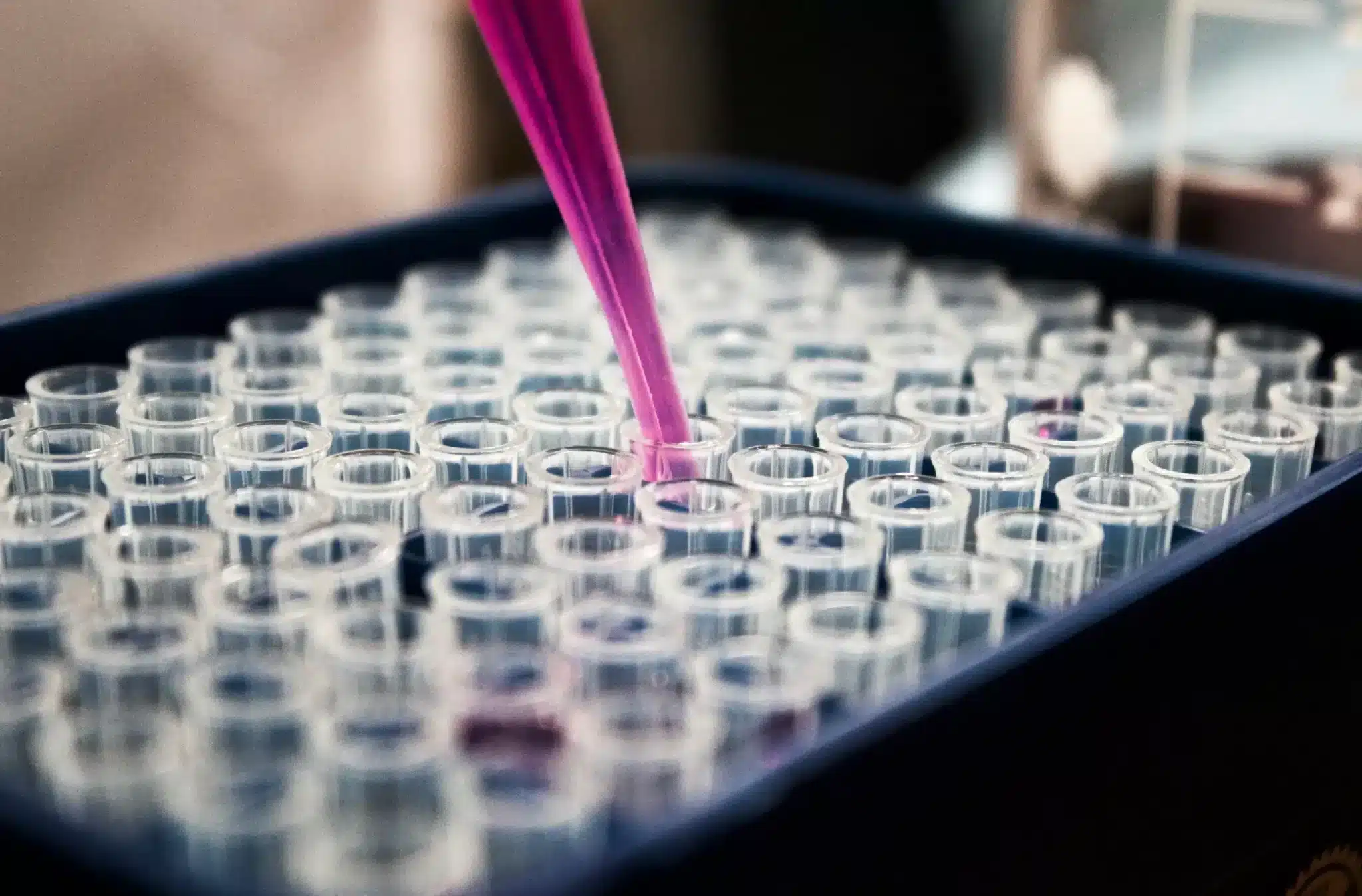 A pipette dispensing a purple substance into one of many small, cylindrical wells contained in a microtiter plate. This laboratory equipment is commonly used for experiments requiring precise volume measurements and is essential for various biochemical analyses.